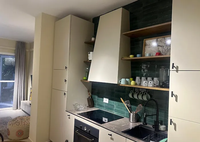 Newly Renovated Apartment Olive