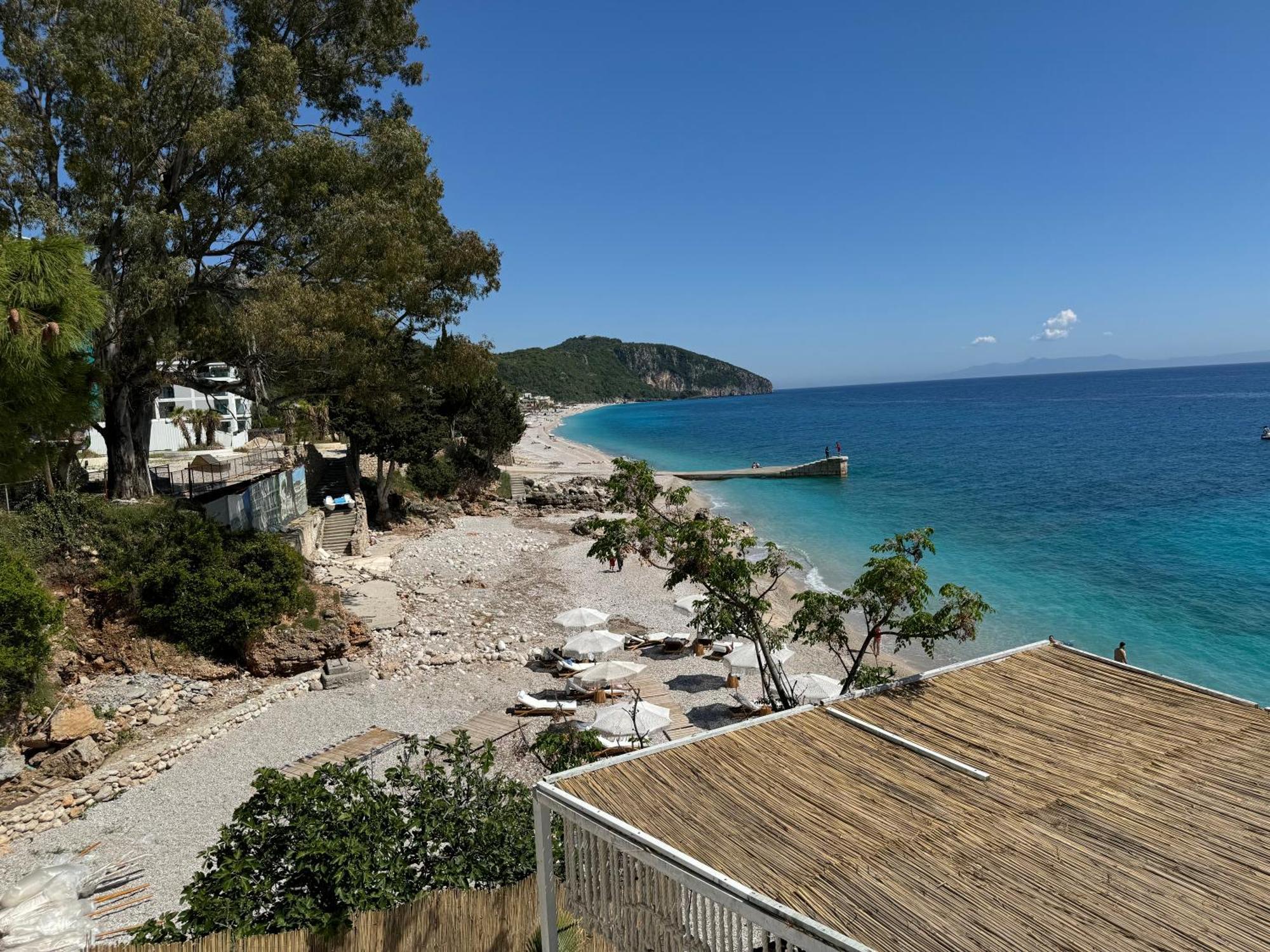 Newly Renovated Olive Apartmán