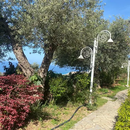 Newly Renovated Apartment Olive Dhermi Exterior photo
