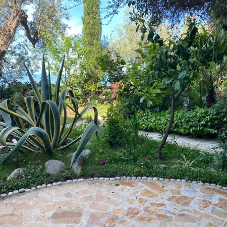 Newly Renovated Apartment Olive Dhermi Exterior photo