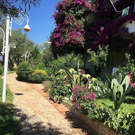 Newly Renovated Apartment Olive Dhermi Exterior photo